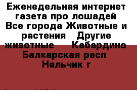 Еженедельная интернет - газета про лошадей - Все города Животные и растения » Другие животные   . Кабардино-Балкарская респ.,Нальчик г.